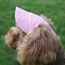 Pet Supplies Dog Cat Cap Baseball